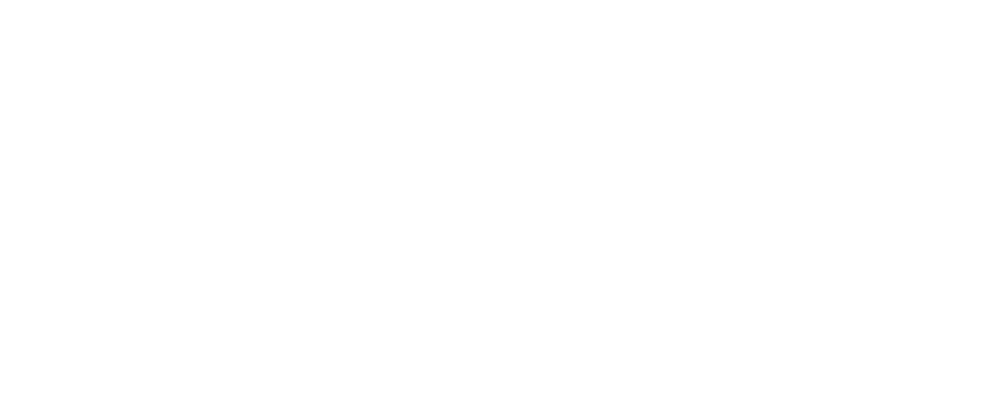 Ayki Technologies Services FZE